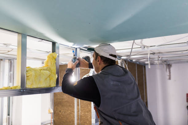 Types of Insulation We Offer in Pleasant Grove, UT