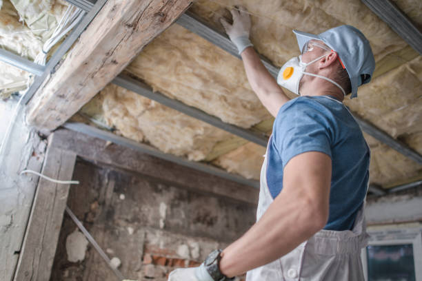 Types of Insulation We Offer in Pleasant Grove, UT